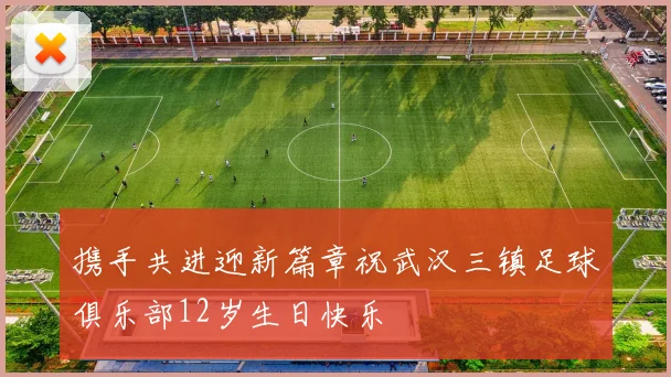 携手共进迎新篇章祝武汉三镇足球俱乐部12岁生日快乐