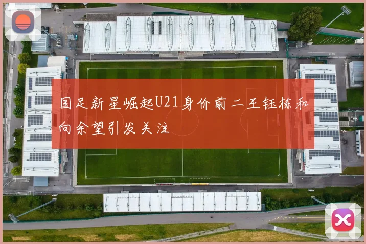 国足新星崛起U21身价前二王钰栋和向余望引发关注